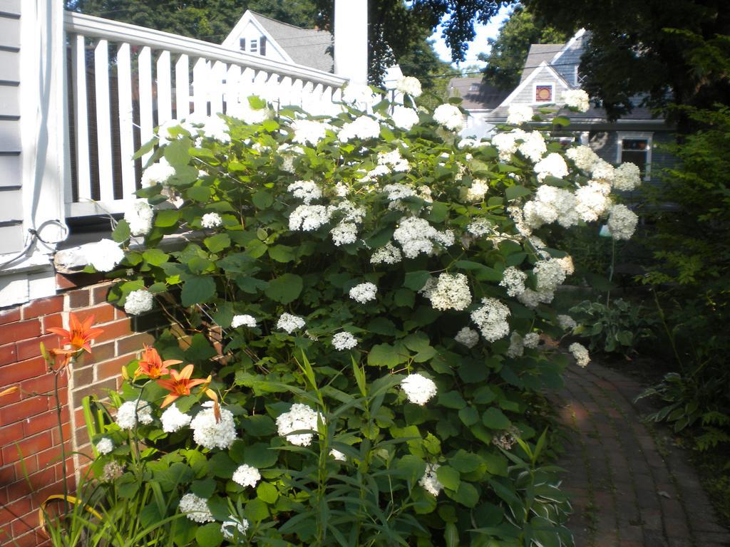 Fleetwood House Bed And Breakfast Portland Exterior foto